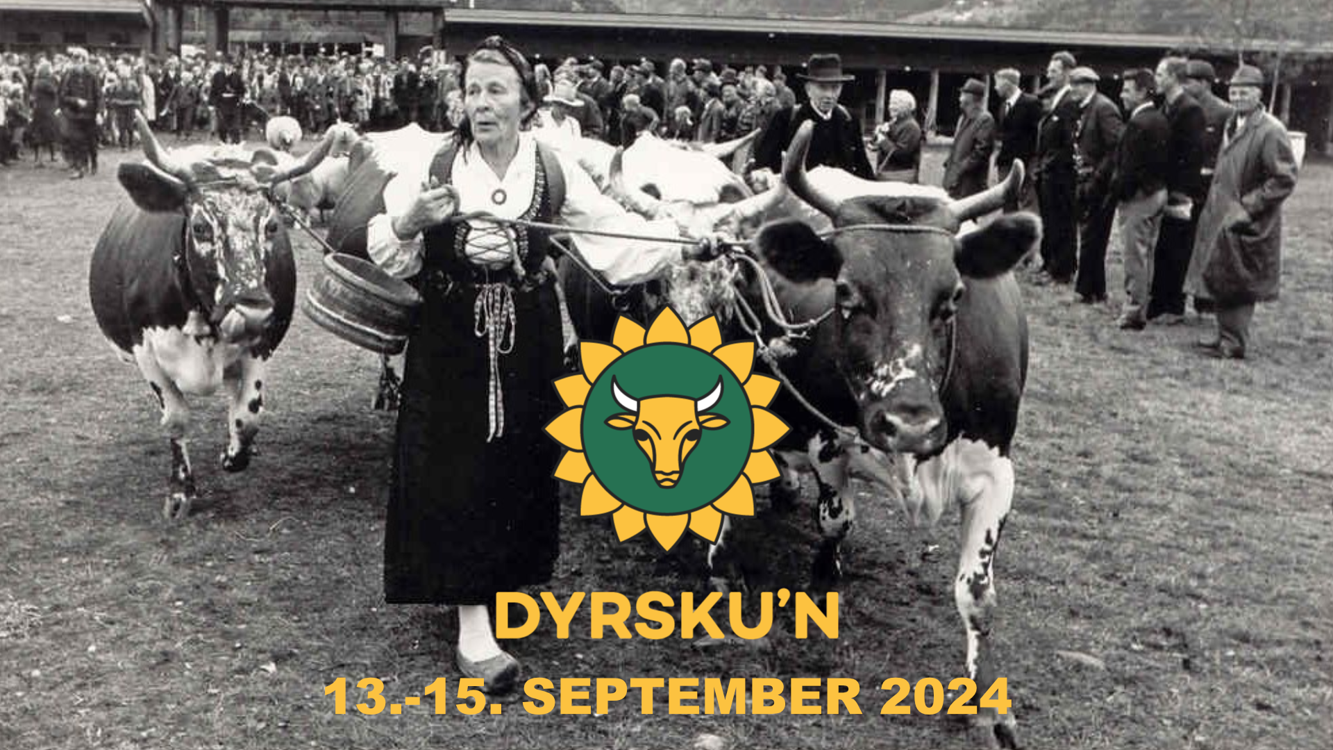 Read more about the article Dyrsku’n 2024